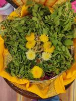 SCM Bangalore; Cradling of Bala Gopala (4 Sep 2026)